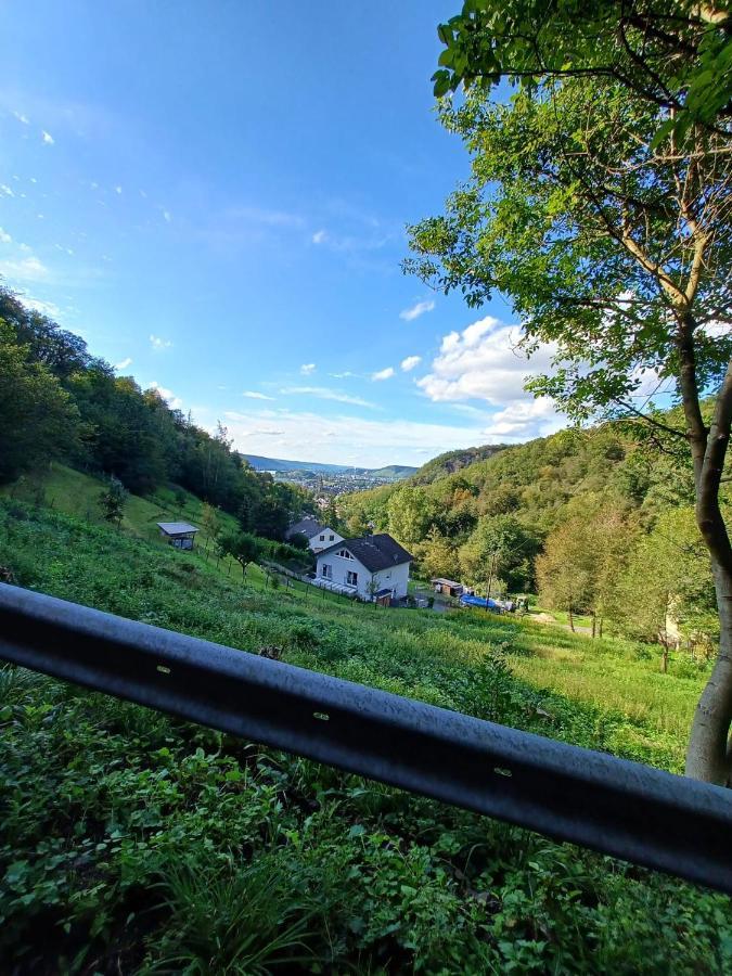 Ferienwohnung Neli Am Rhein 라인브로우 외부 사진