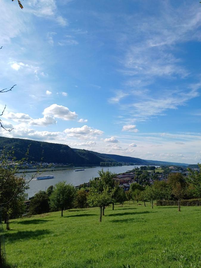 Ferienwohnung Neli Am Rhein 라인브로우 외부 사진