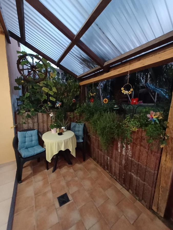 Ferienwohnung Neli Am Rhein 라인브로우 외부 사진