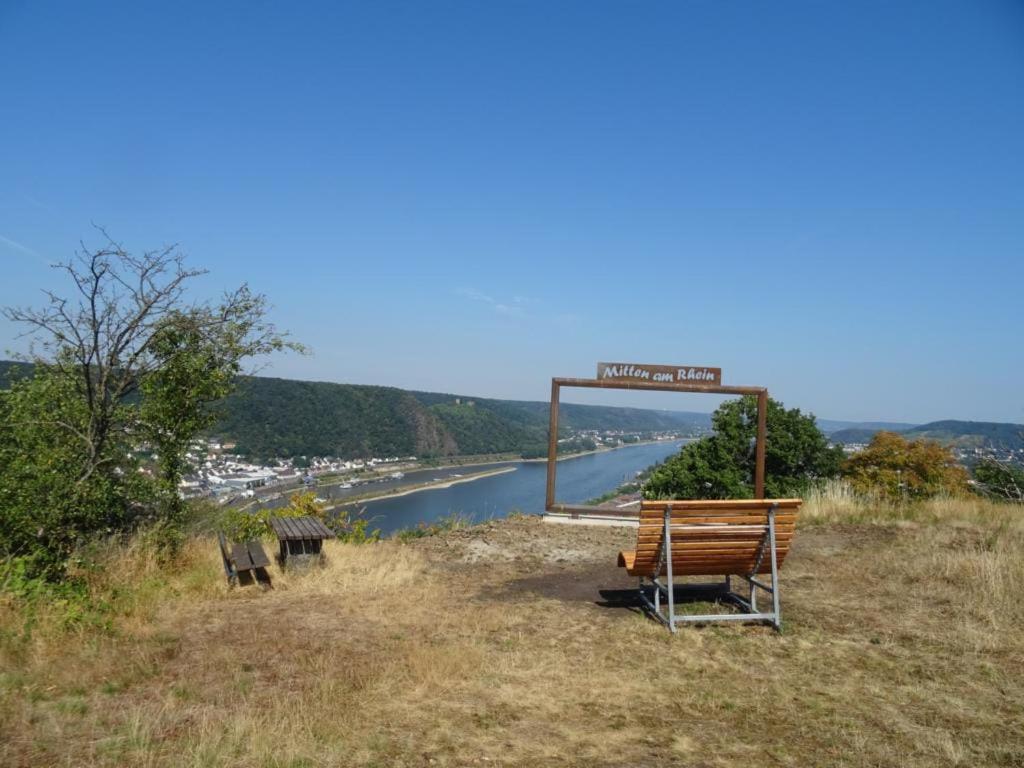 Ferienwohnung Neli Am Rhein 라인브로우 외부 사진