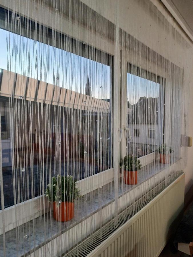 Ferienwohnung Neli Am Rhein 라인브로우 외부 사진